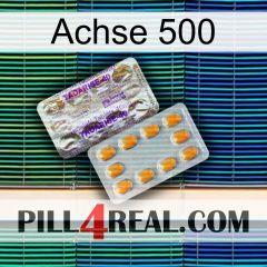 Axcil 500 new12